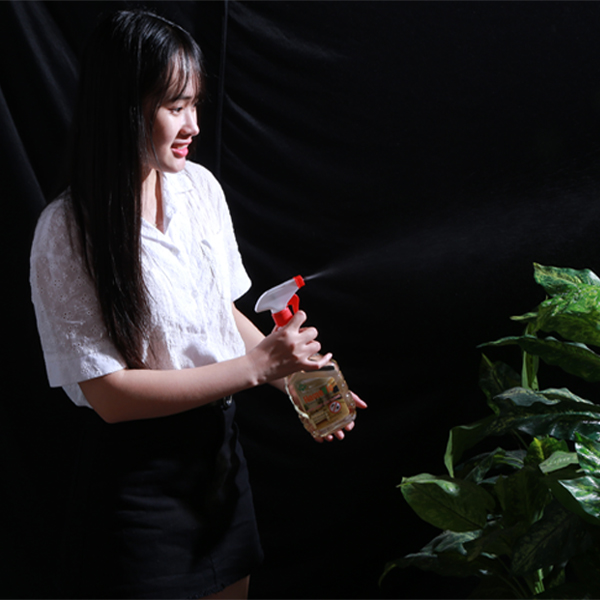 Water to kill insects